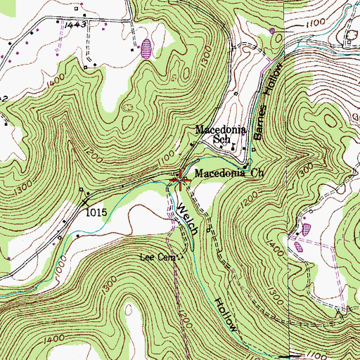 Topographic Map of Welch Hollow, TN