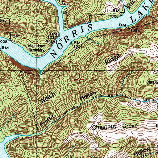 Topographic Map of Welch Ridge, TN