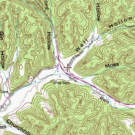 Topographic Map of Well Hollow, TN