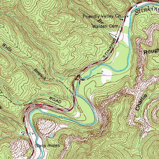 Topographic Map of Wells Branch, TN