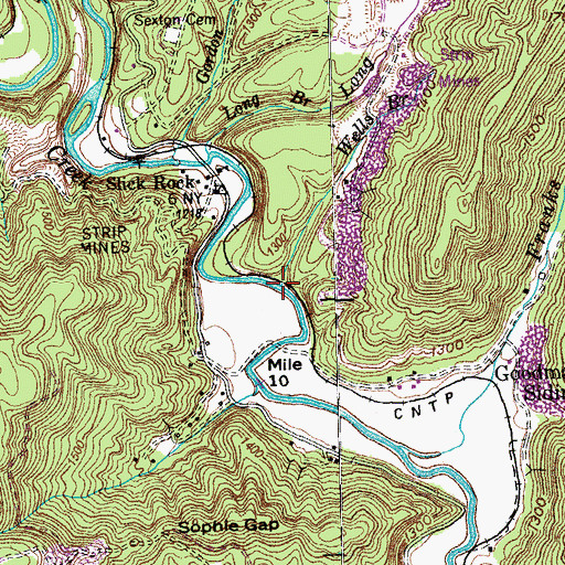 Topographic Map of Wells Branch, TN