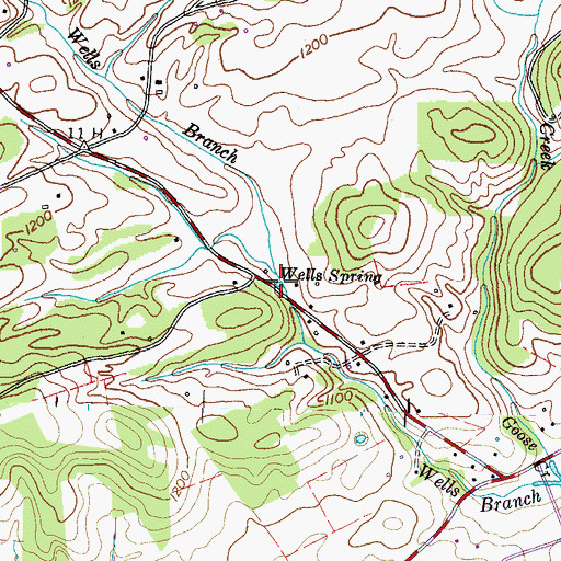 Topographic Map of Wells Spring, TN