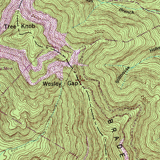 Topographic Map of Wesley Gap, TN