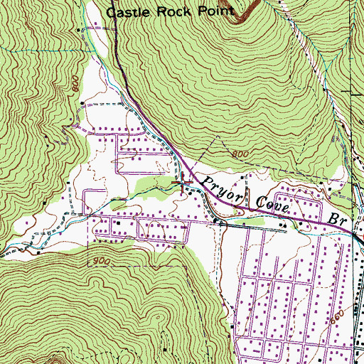 Topographic Map of West Fork Pryor Cove Branch, TN