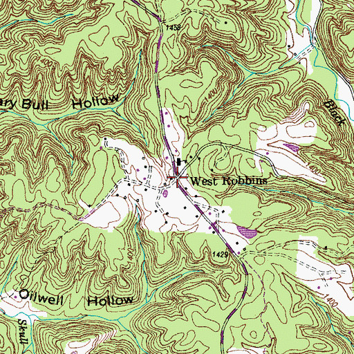 Topographic Map of West Robbins, TN