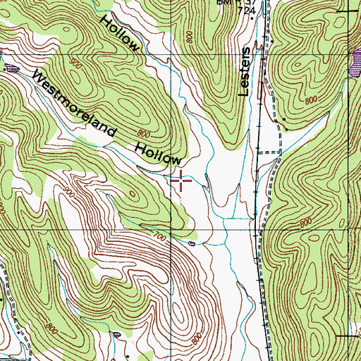 Topographic Map of Westmoreland Hollow, TN