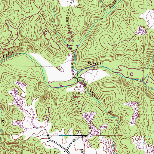 Topographic Map of Stone Branch, AL
