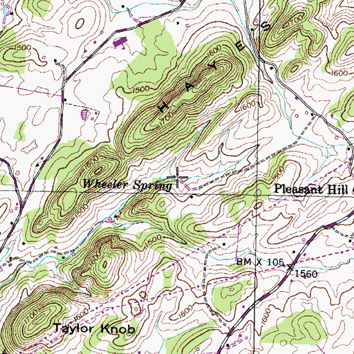 Topographic Map of Wheeler Spring, TN