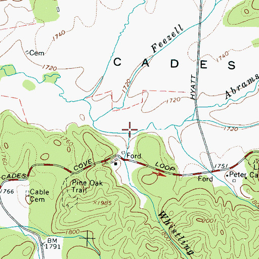 Topographic Map of Whistling Branch, TN