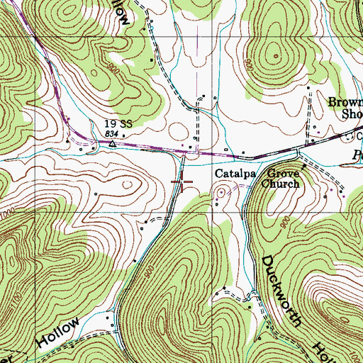 Topographic Map of Whitaker Hollow, TN