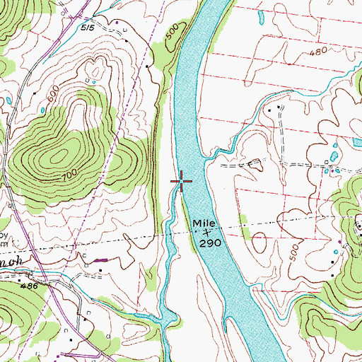 Topographic Map of White Branch, TN