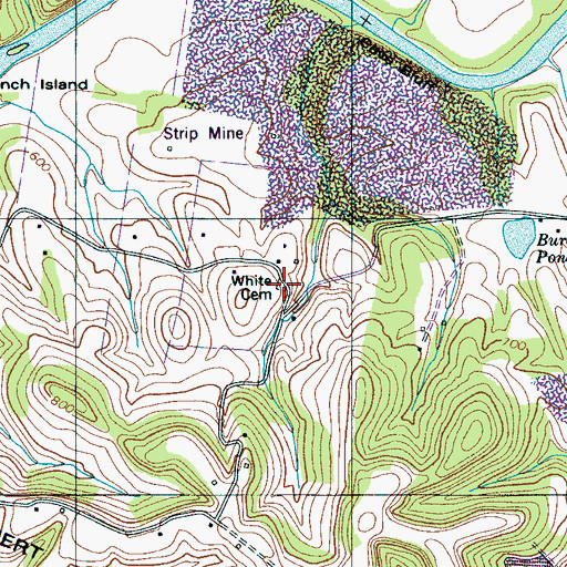 Topographic Map of White Cemetery, TN