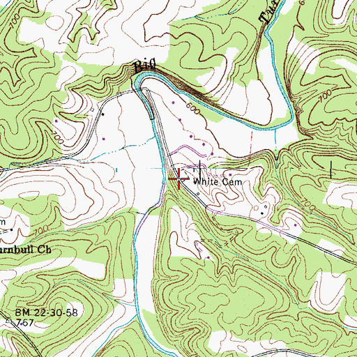 Topographic Map of White Cemetery, TN