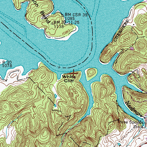 Topographic Map of White Cliff, TN