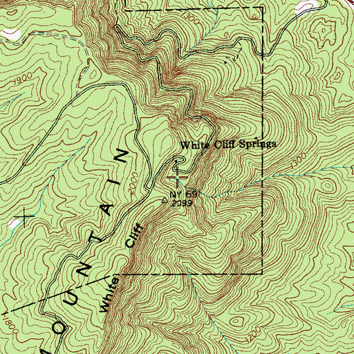 Topographic Map of White Cliff Springs, TN