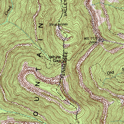 Topographic Map of White Gap, TN
