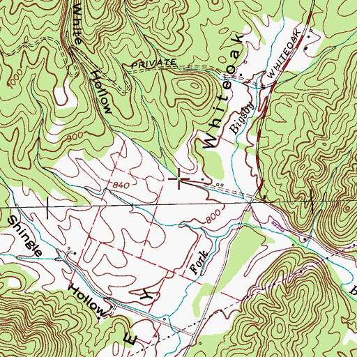Topographic Map of White Hollow, TN