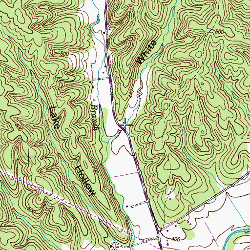 Topographic Map of White Hollow, TN