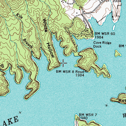 Topographic Map of White Hollow, TN