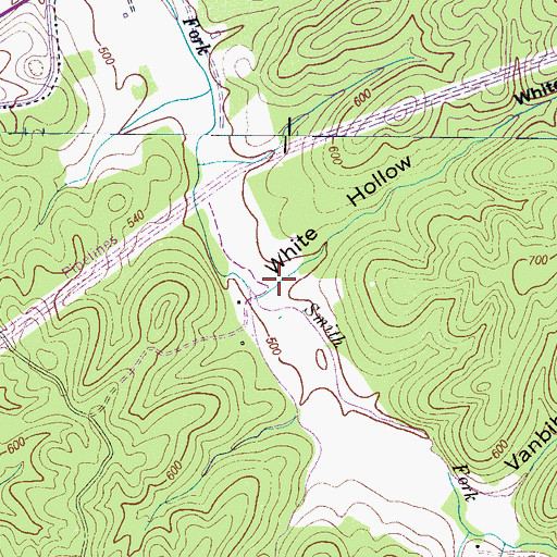 Topographic Map of White Hollow, TN