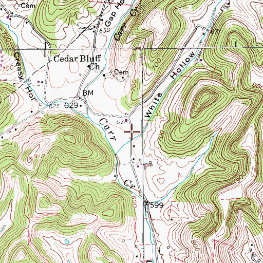 Topographic Map of White Hollow, TN