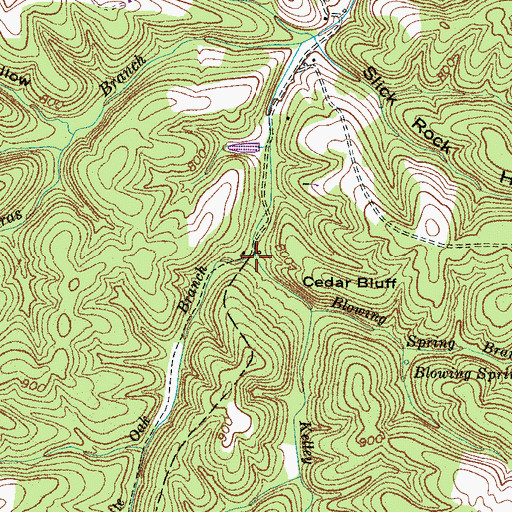 Topographic Map of White Oak Branch, TN