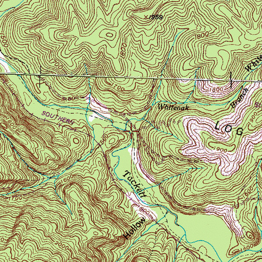 Topographic Map of White Oak Branch, TN