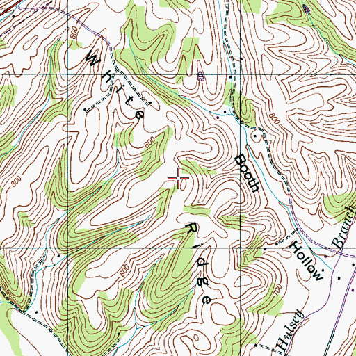 Topographic Map of White Ridge, TN