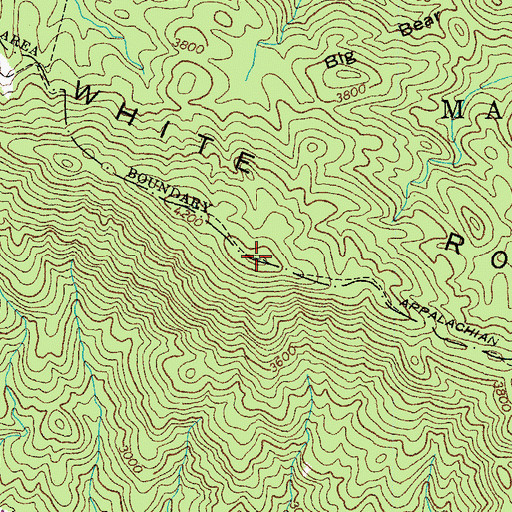 Topographic Map of White Rocks Mountain, TN