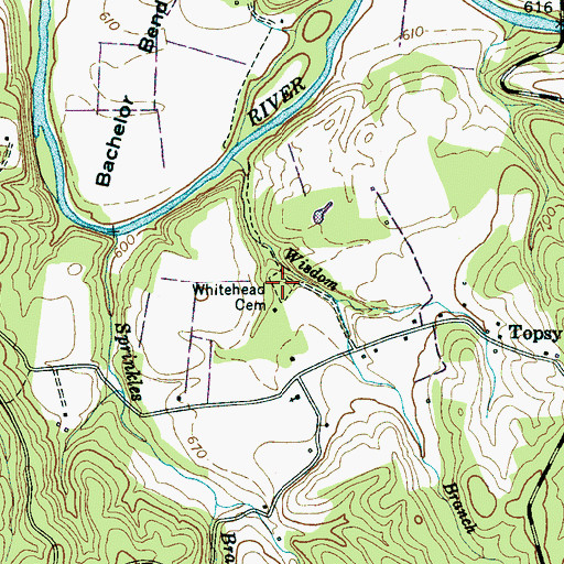Topographic Map of Whitehead Cemetery, TN