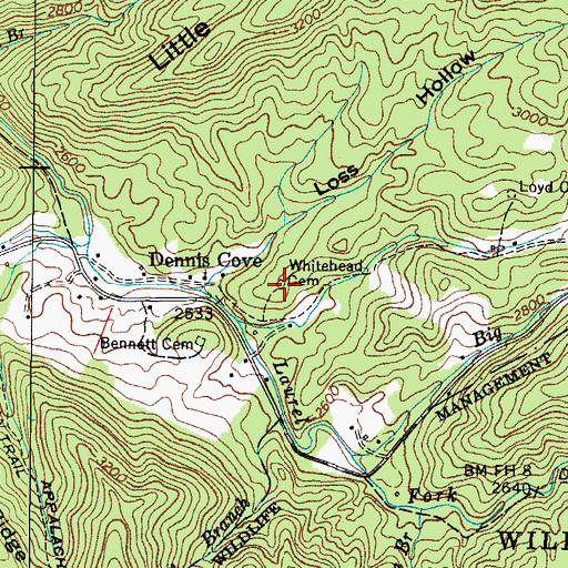 Topographic Map of Whitehead Cemetery, TN