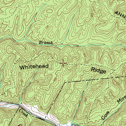 Topographic Map of Whitehead Ridge, TN