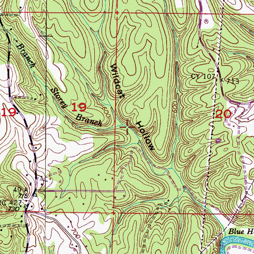 Topographic Map of Storey Branch, AL