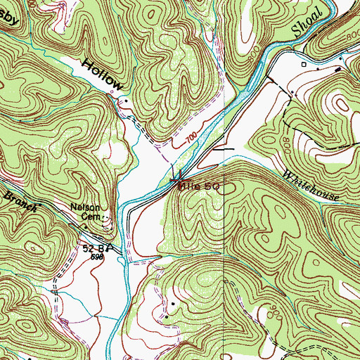 Topographic Map of Whitehouse Branch, TN