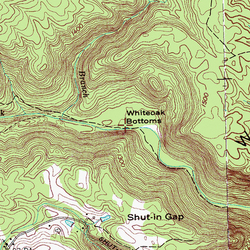 Topographic Map of Whiteoak Bottoms, TN