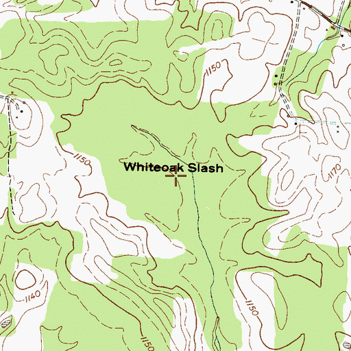 Topographic Map of Whiteoak Slash, TN