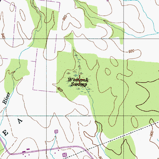 Topographic Map of Whiteoak Swamp, TN