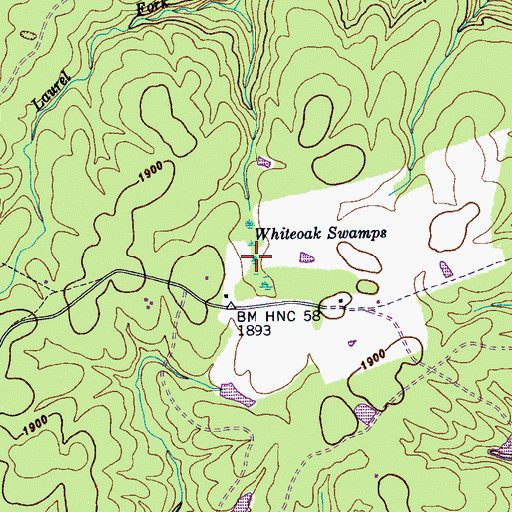 Topographic Map of Whiteoak Swamps, TN