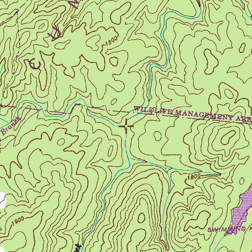Topographic Map of Whitepine Branch, TN
