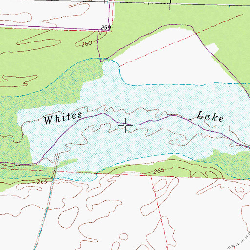 Topographic Map of Whites Lake, TN