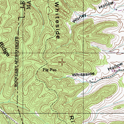 Topographic Map of Whiteside Ridge, TN