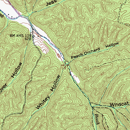 Topographic Map of Whitey Hollow, TN