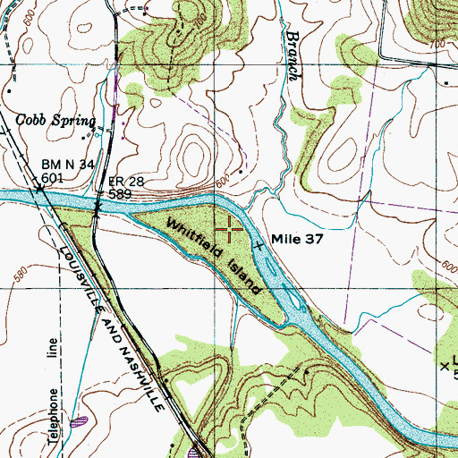 Topographic Map of Whitfield Island, TN