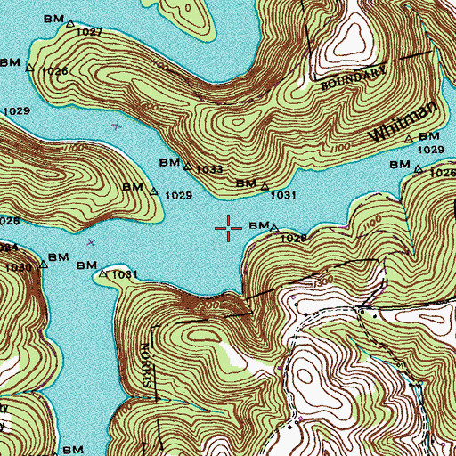 Topographic Map of Whitman Hollow, TN