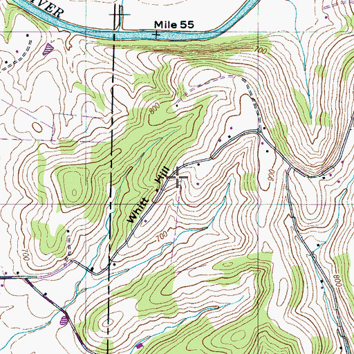 Topographic Map of Whitt Hill, TN