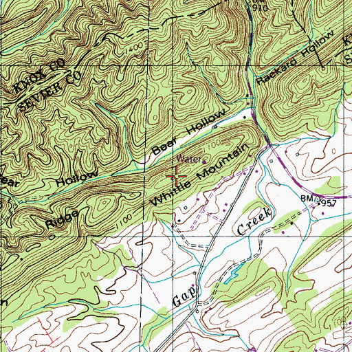 Topographic Map of Whittle Mountain, TN