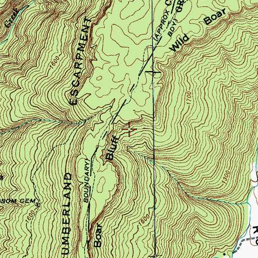 Topographic Map of Wild Boar Bluff, TN