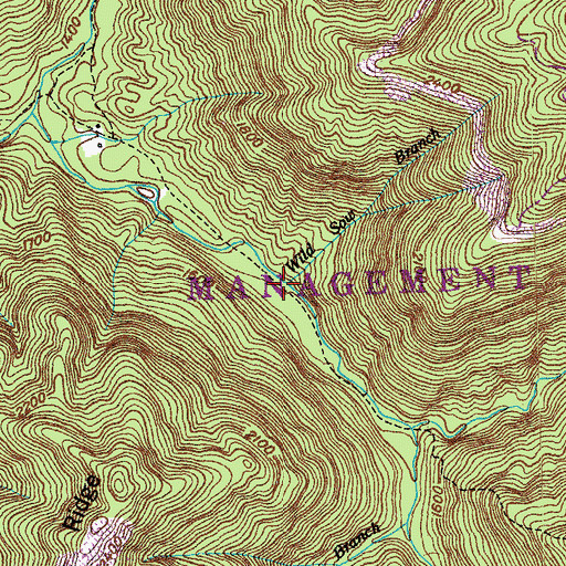 Topographic Map of Wild Sow Branch, TN