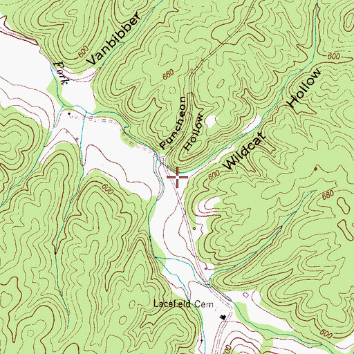 Topographic Map of Wildcat Hollow, TN