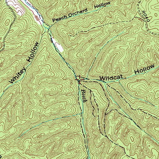 Topographic Map of Wildcat Hollow, TN